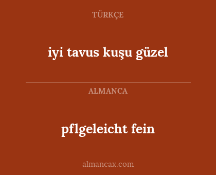 iyi tavus kuşu güzel - pflgeleicht fein