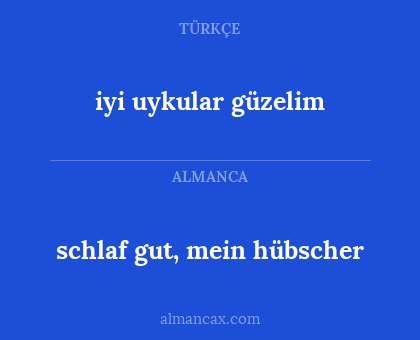schlaf gut, mein hübscher - iyi uykular güzelim