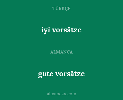 gute vorsâtze - iyi vorsâtze