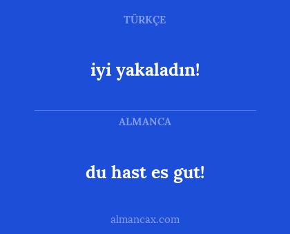 du hast es gut! - iyi yakaladın!