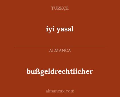 bußgeldrechtlicher - iyi yasal