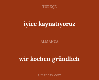 iyice kaynatıyoruz - wir kochen gründlich