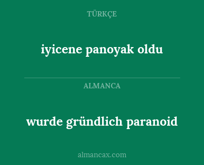 wurde gründlich paranoid - iyicene panoyak oldu