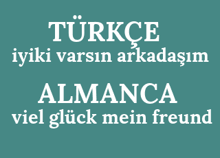 iyiki+vars%C4%B1n+arkada%C5%9F%C4%B1m-viel+gl%C3%BCck+mein+freund.png