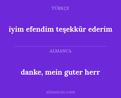 iyim efendim teşekkür ederim - danke, mein guter herr