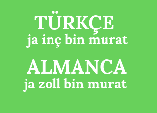 ja+in%C3%A7+bin+murat-ja+zoll+bin+murat.png