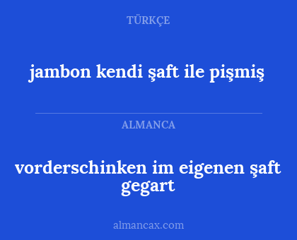 vorderschinken im eigenen şaft gegart - jambon kendi şaft ile pişmiş