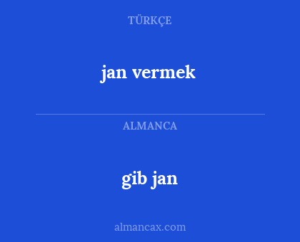 gib jan - jan vermek