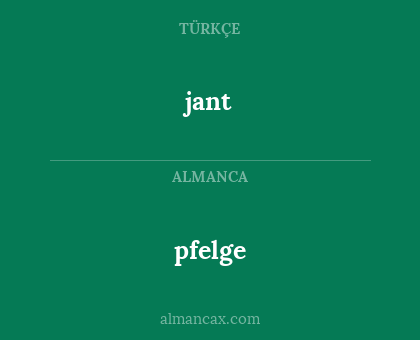 pfelge - jant