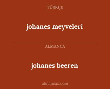 johanes meyveleri - johanes beeren