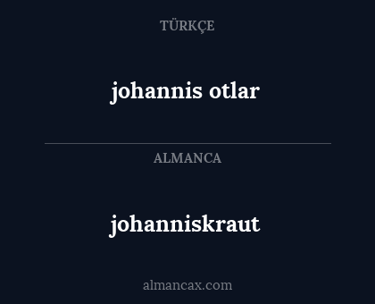 johannis otlar - johanniskraut
