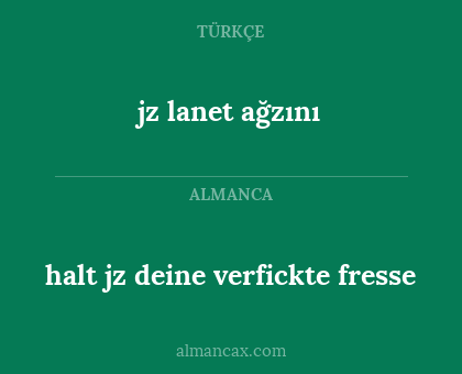halt jz deine verfickte fresse - jz lanet ağzını