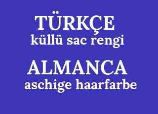 k%C3%BCll%C3%BC+sac+rengi-aschige+haarfarbe.png