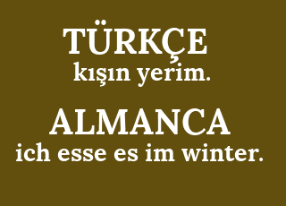 k%C4%B1%C5%9F%C4%B1n+yerim.-ich+esse+es+im+winter..png