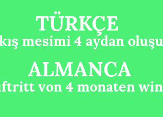 k%C4%B1%C5%9F+mesimi+4+aydan+olu%C5%9Fur-auftritt+von+4+monaten+winter.png