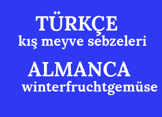 k%C4%B1%C5%9F+meyve+sebzeleri-winterfruchtgem%C3%BCse.png