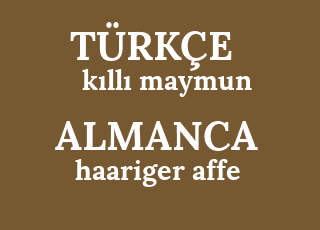 k%C4%B1ll%C4%B1+maymun-haariger+affe.png