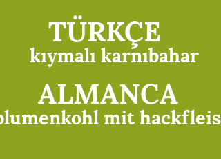 k%C4%B1ymal%C4%B1+karn%C4%B1bahar-blumenkohl+mit+hackfleisch.png