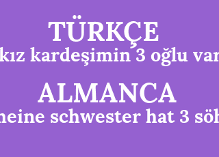 k%C4%B1z+karde%C5%9Fimin+3+o%C4%9Flu+var-meine+schwester+hat+3+s%C3%B6hne.png