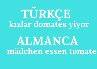 k%C4%B1zlar+domates+yiyor-m%C3%A4dchen+essen+tomaten.png