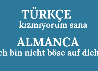 k%C4%B1zm%C4%B1yorum+sana-ich+bin+nicht+b%C3%B6se+auf+dich.png