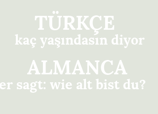ka%C3%A7+ya%C5%9F%C4%B1ndas%C4%B1n+diyor-er+sagt%3A+wie+alt+bist+du%3F.png