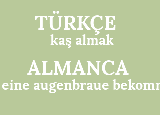 ka%C5%9F+almak-eine+augenbraue+bekommen.png