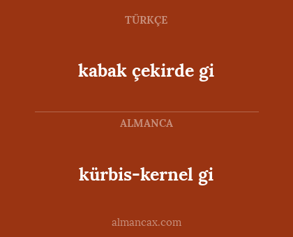 kürbis-kernel gi - kabak çekirde gi