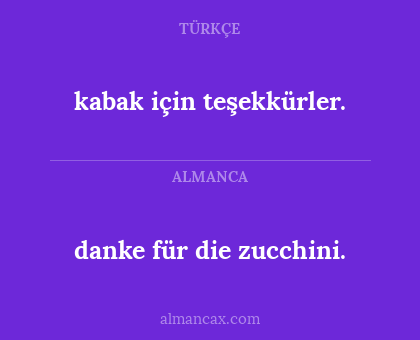 kabak için teşekkürler. - danke für die zucchini.