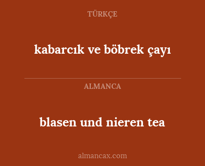 blasen und nieren tea - kabarcık ve böbrek çayı