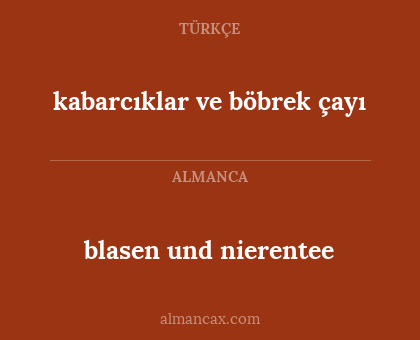 kabarcıklar ve böbrek çayı - blasen und nierentee