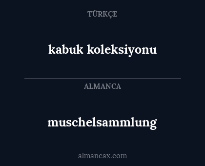 muschelsammlung - kabuk koleksiyonu