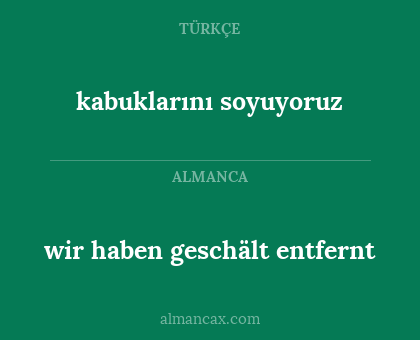 kabuklarını soyuyoruz - wir haben geschält entfernt