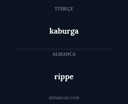 kaburga - rippe