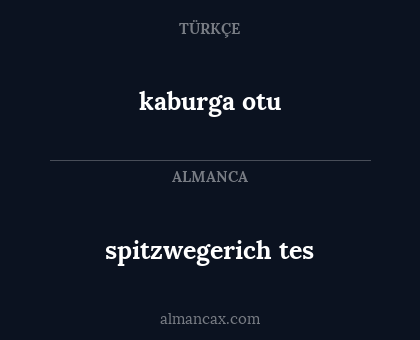 kaburga otu - spitzwegerich tes