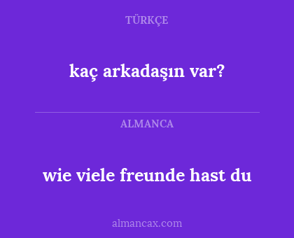 wie viele freunde hast du - kaç arkadaşın var?
