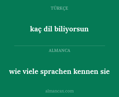 kaç dil biliyorsun - wie viele sprachen kennen sie