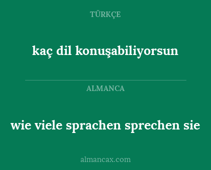 kaç dil konuşabiliyorsun - wie viele sprachen sprechen sie