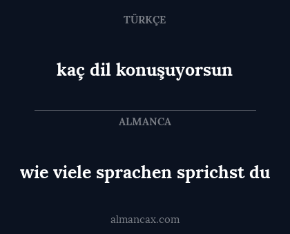 kaç dil konuşuyorsun - wie viele sprachen sprichst du