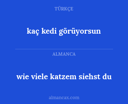 kaç kedi görüyorsun - wie viele katzem siehst du