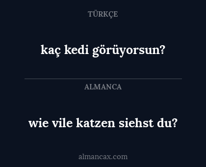 wie vile katzen siehst du? - kaç kedi görüyorsun?