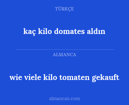 kaç kilo domates aldın - wie viele kilo tomaten gekauft