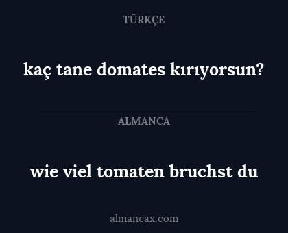 wie viel tomaten bruchst du - kaç tane domates kırıyorsun?