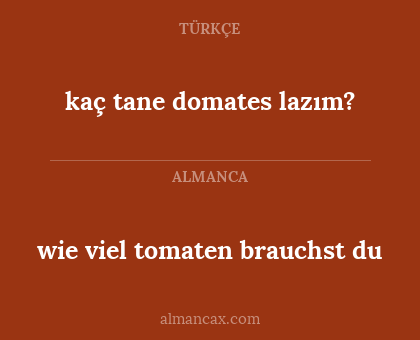 wie viel tomaten brauchst du - kaç tane domates lazım?
