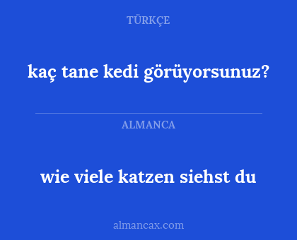 kaç tane kedi görüyorsunuz? - wie viele katzen siehst du