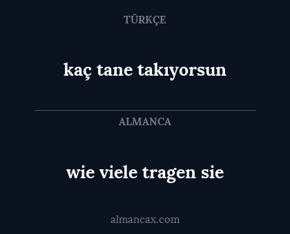 kaç tane takıyorsun - wie viele tragen sie
