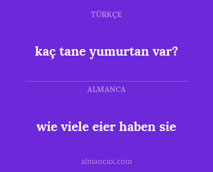 wie viele eier haben sie - kaç tane yumurtan var?