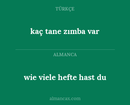 kaç tane zımba var - wie viele hefte hast du