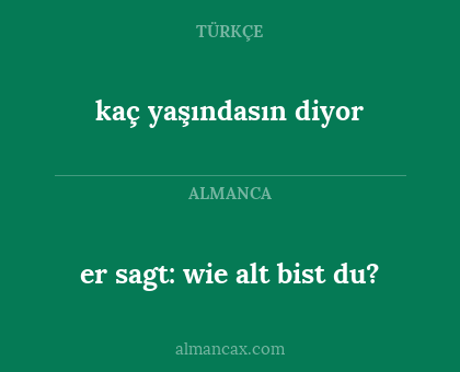 er sagt: wie alt bist du? - kaç yaşındasın diyor