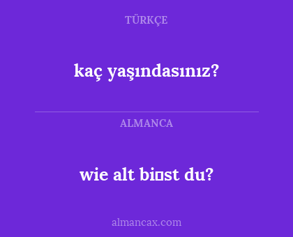 wie alt bi̇st du? - kaç yaşındasınız?